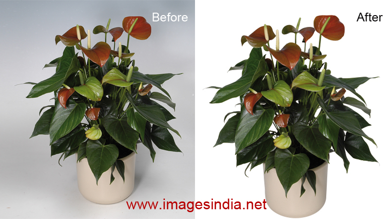 clipping path
